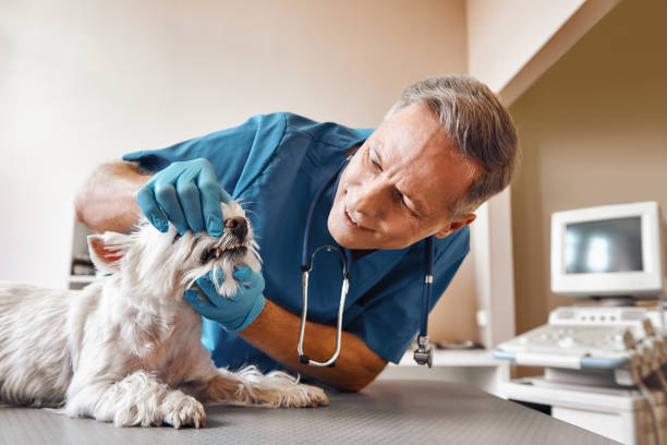 Best Emergency Tooth Extraction in Booker, TX